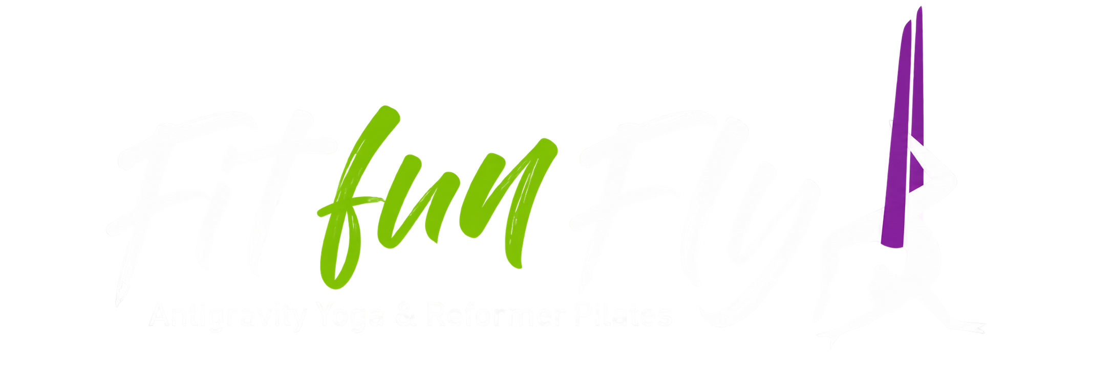 Fit Fun Fly